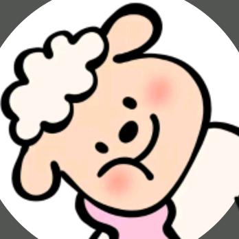 金善羊.（减肥中）
