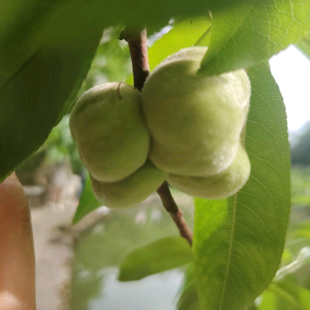 重庆主城快餐配送，量大从优