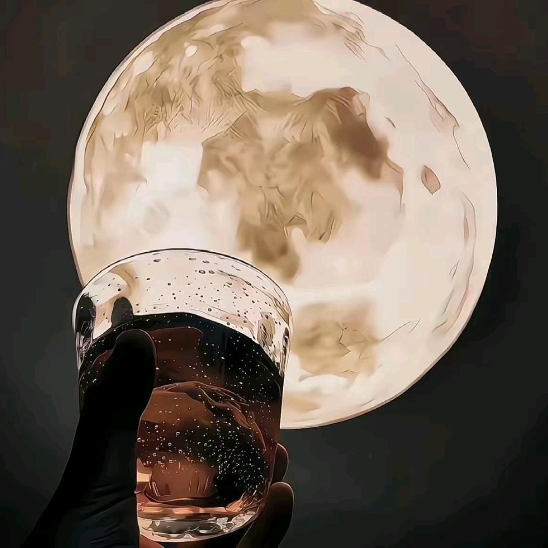 遇见你时风很甜
