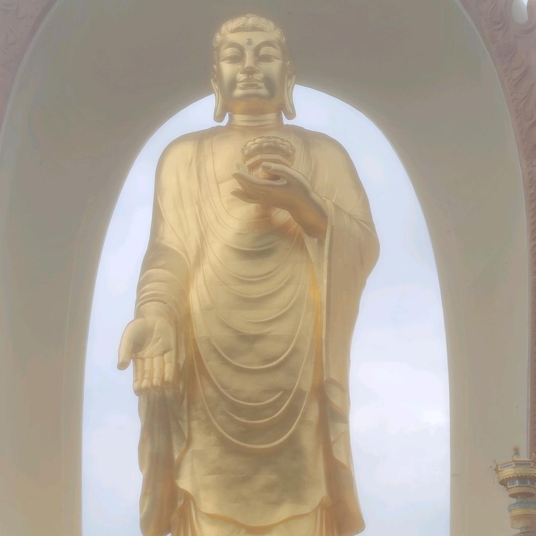 巧姑嫂-九姑汪大厨