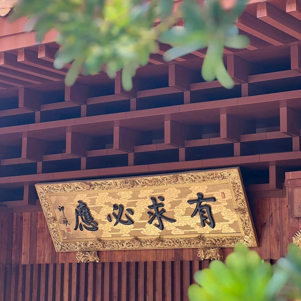飞 蛾 扑 火