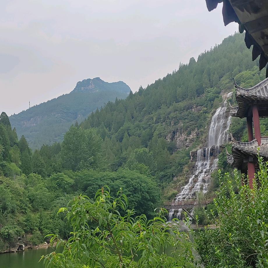楠楠