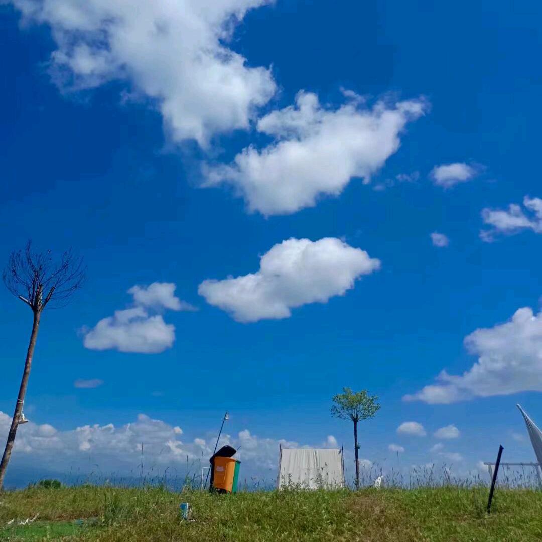 淡水🌴