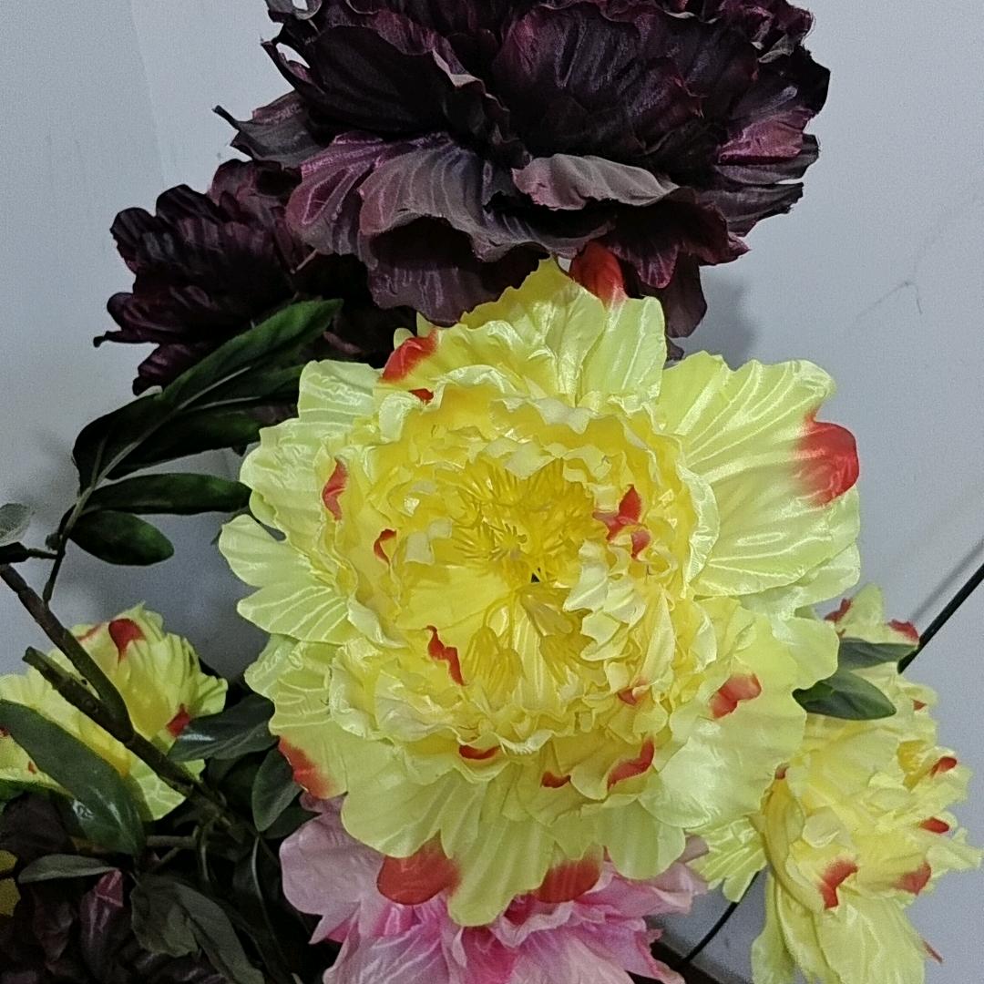 瓦达西瓦特
