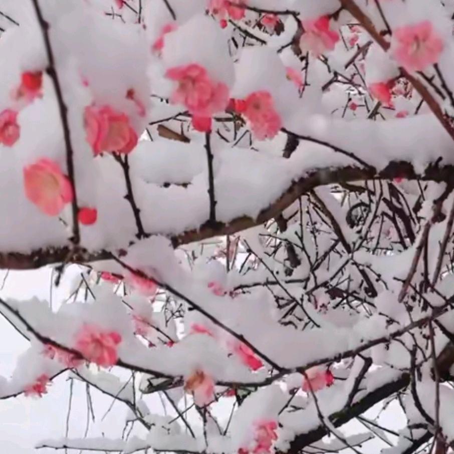 开开心心每一天