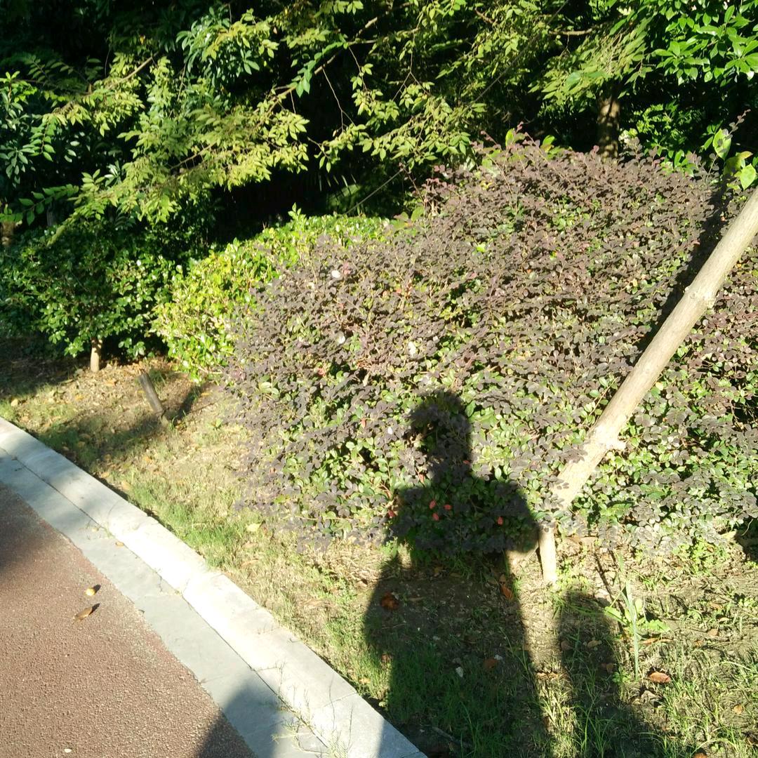 一生安然((陈姐))