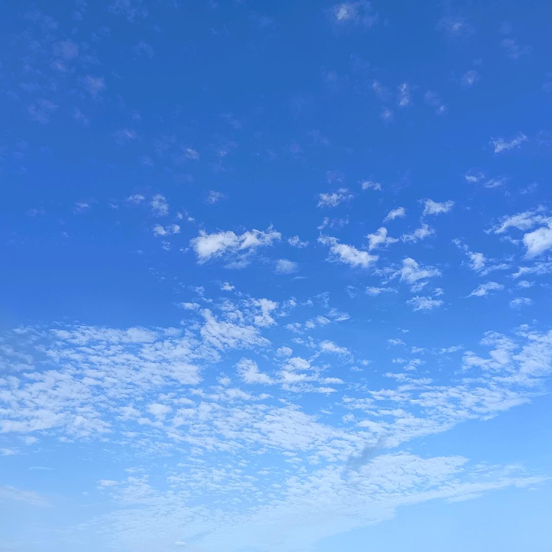 奔赴