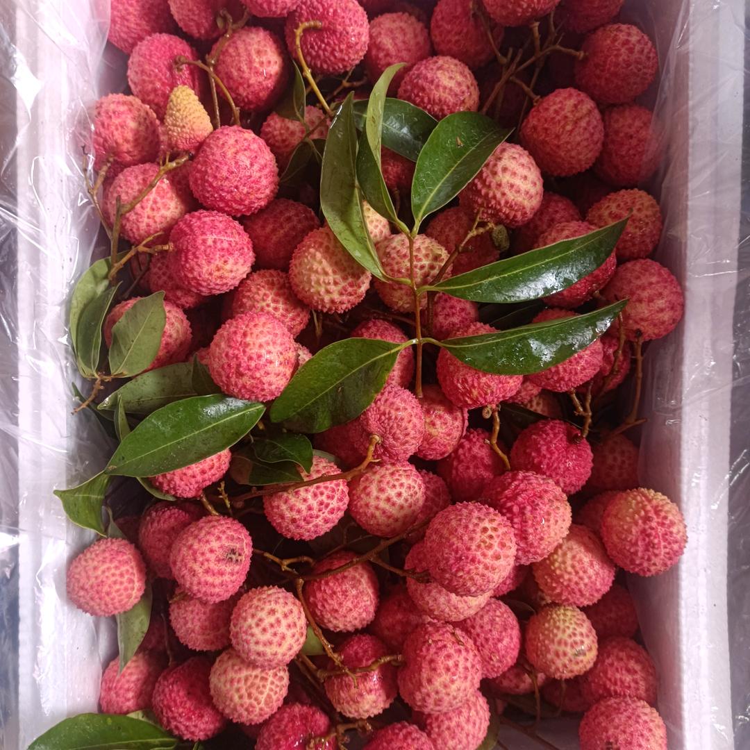 百粽果蔬好货店