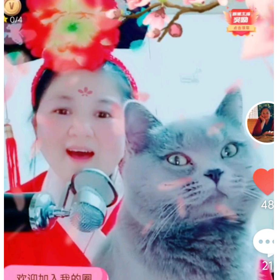 社恐猫六一