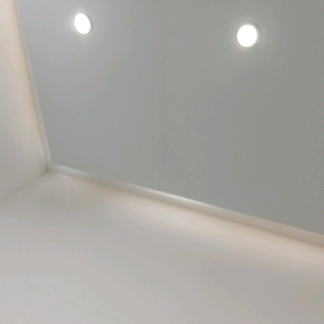 凤凰儿