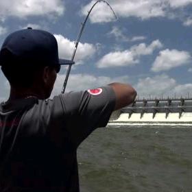 钓遍天下无敌手