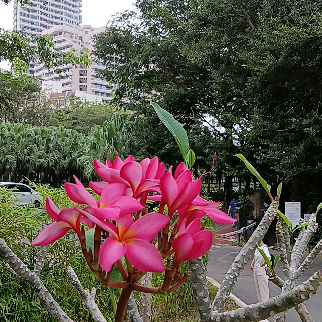 润爨（cuan）堂书画