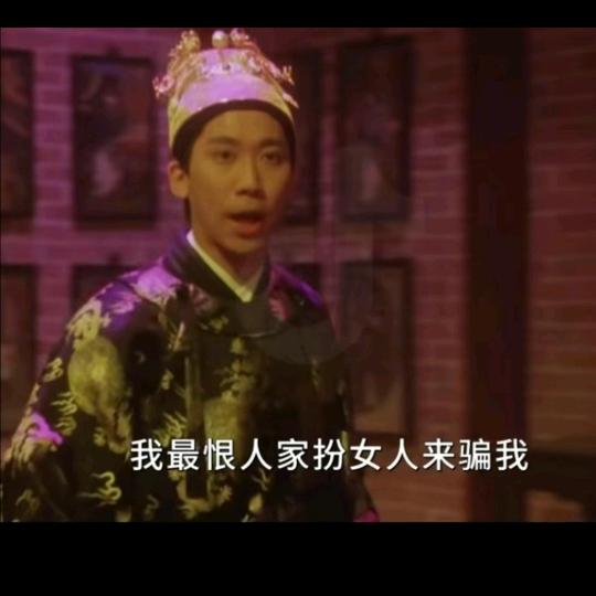 一只重鸽🕊️