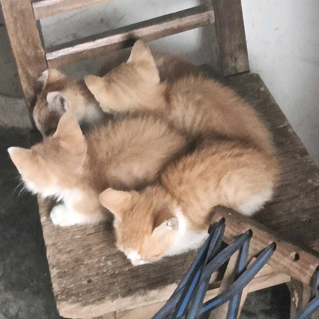 时间