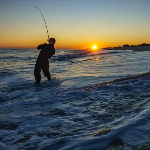 老张学钓鱼🎣