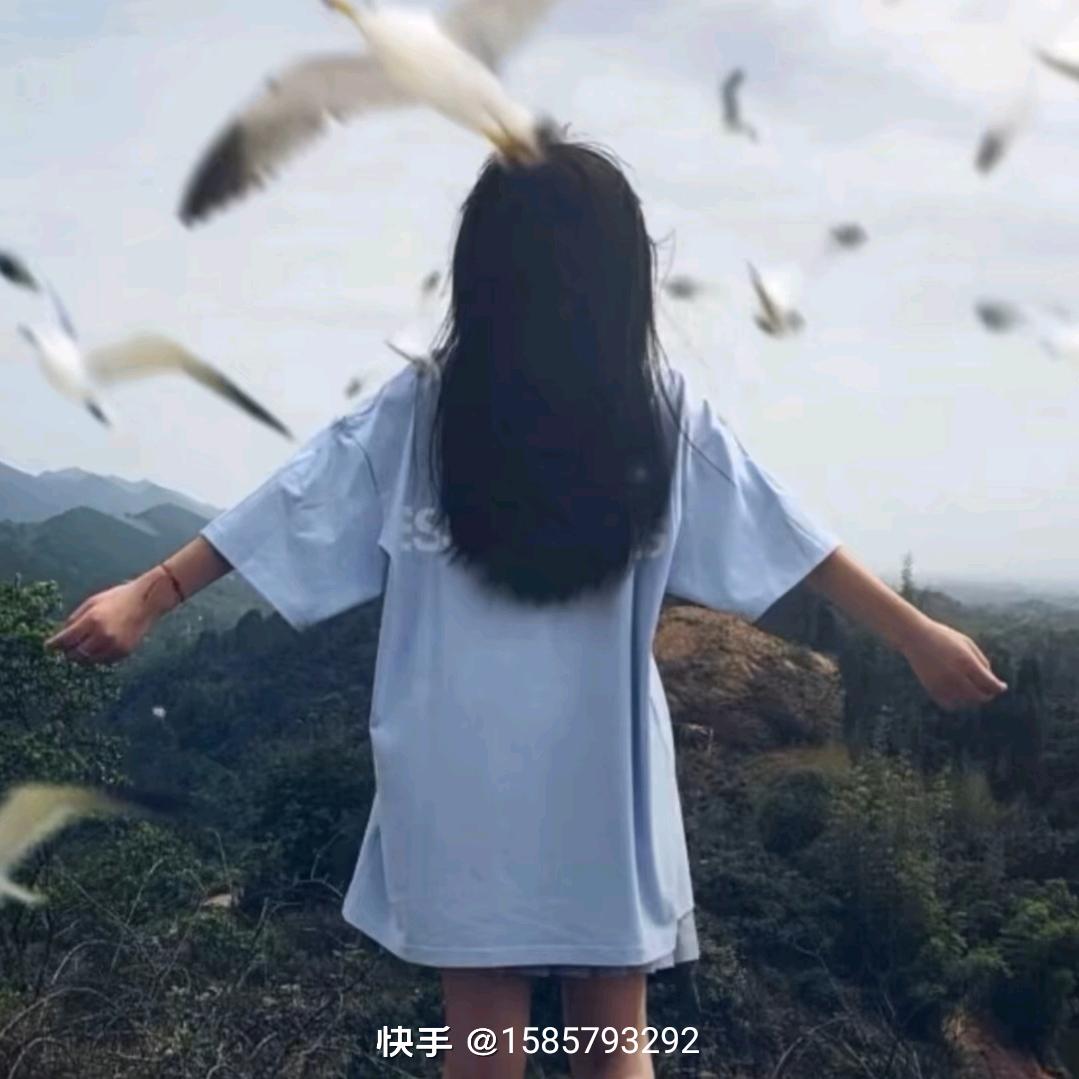 小斯带你飞