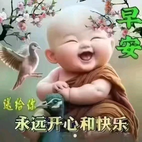 爱唱戏的傻猪猪-圆梦