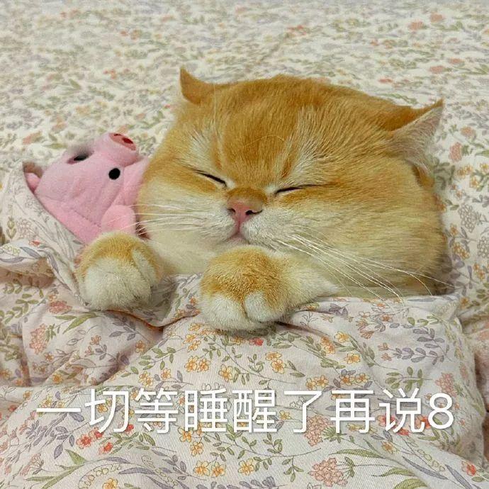 耶糊粘苞米🌽