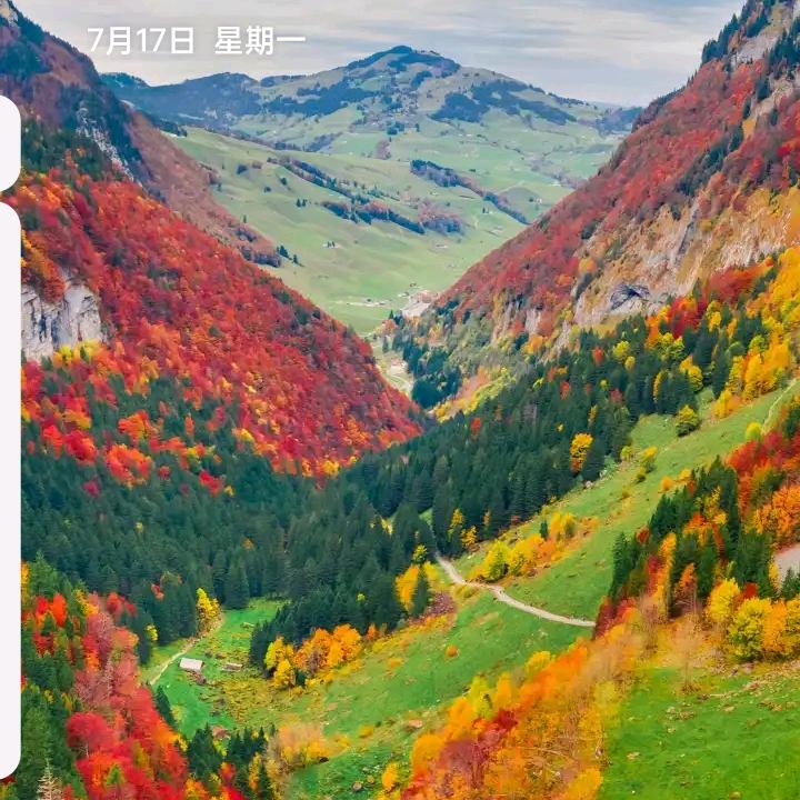 陈姐.
