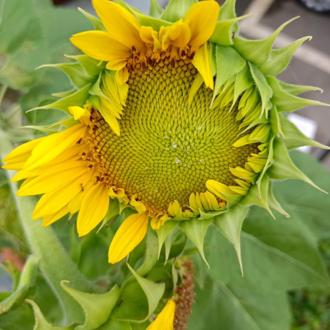 壺乁༼☯‿☯✿༽路💋向💖杨