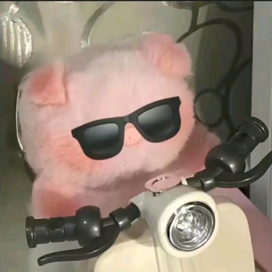 哈哈哈哈哈哈哈哈