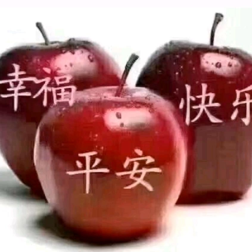 幸福金贝