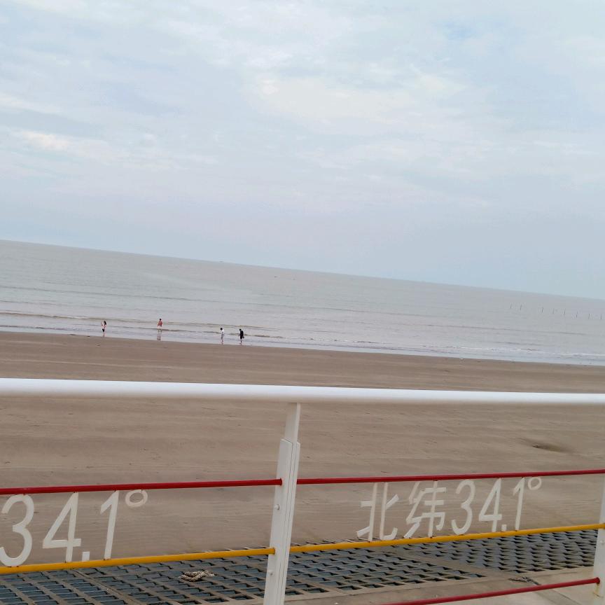 滨海小🐠