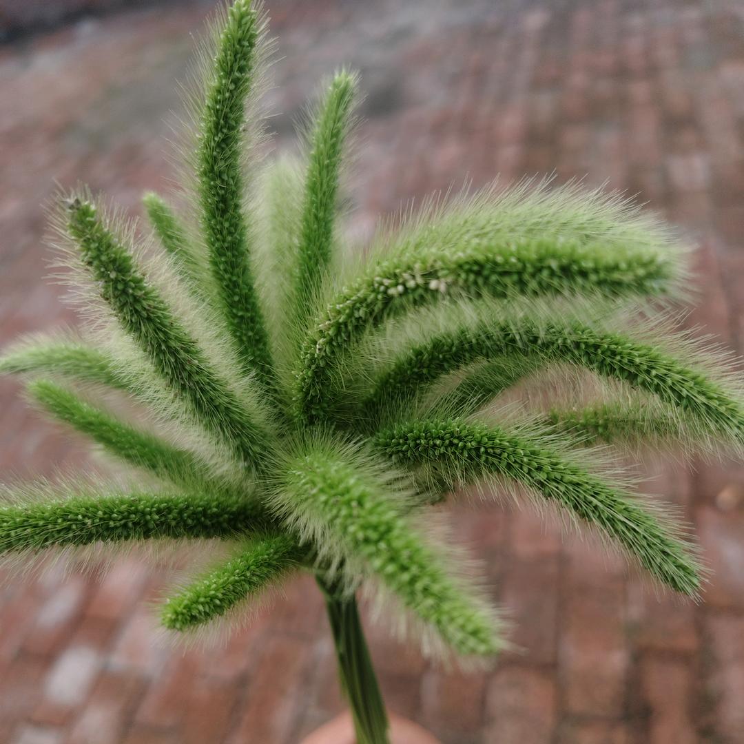 冬天的小手冰冰凉