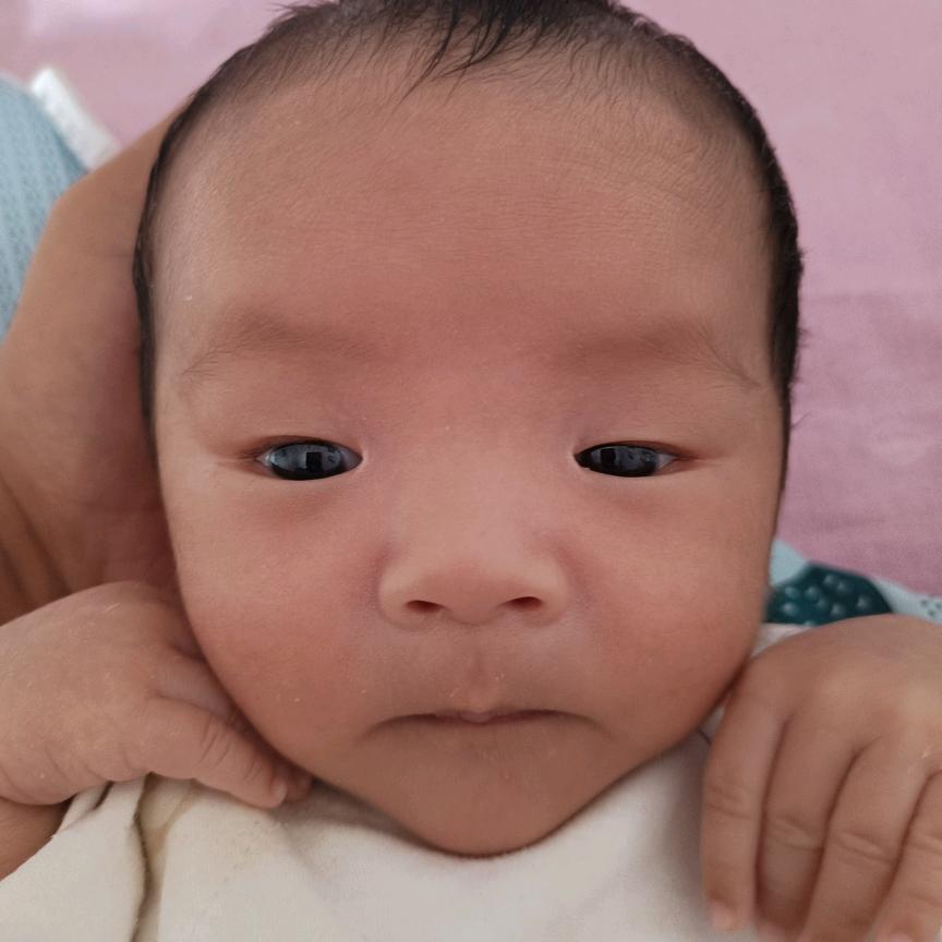 钢镚（成长日记）