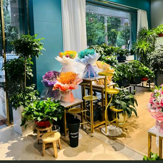 伈心花卉店（诚信批发）