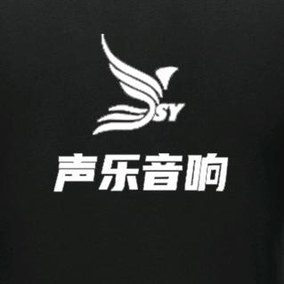 信宜声乐音响