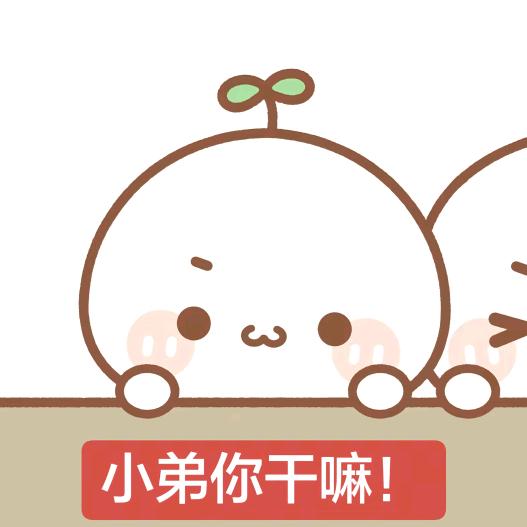 伤害女人的事情我做不到