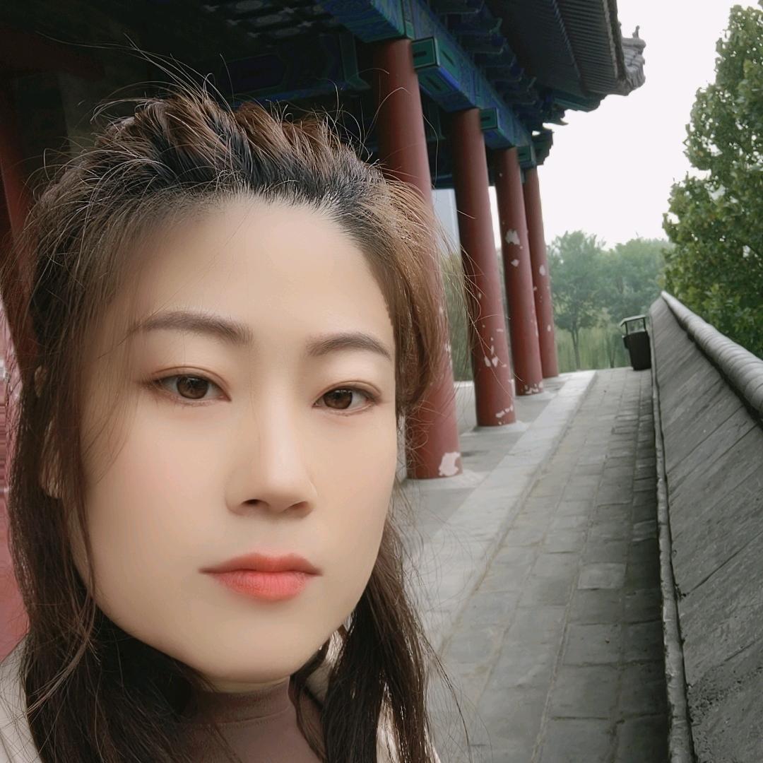 一鸽