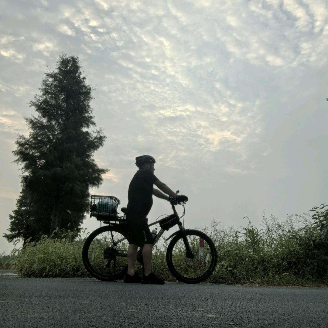 骑行路上的一片枯叶