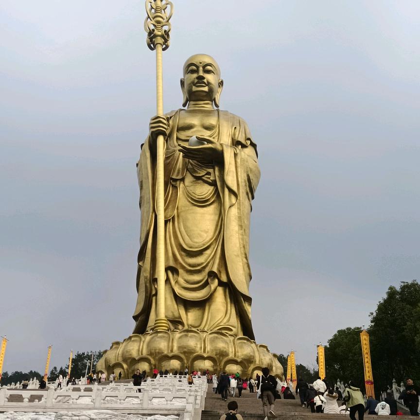 九华山小熊