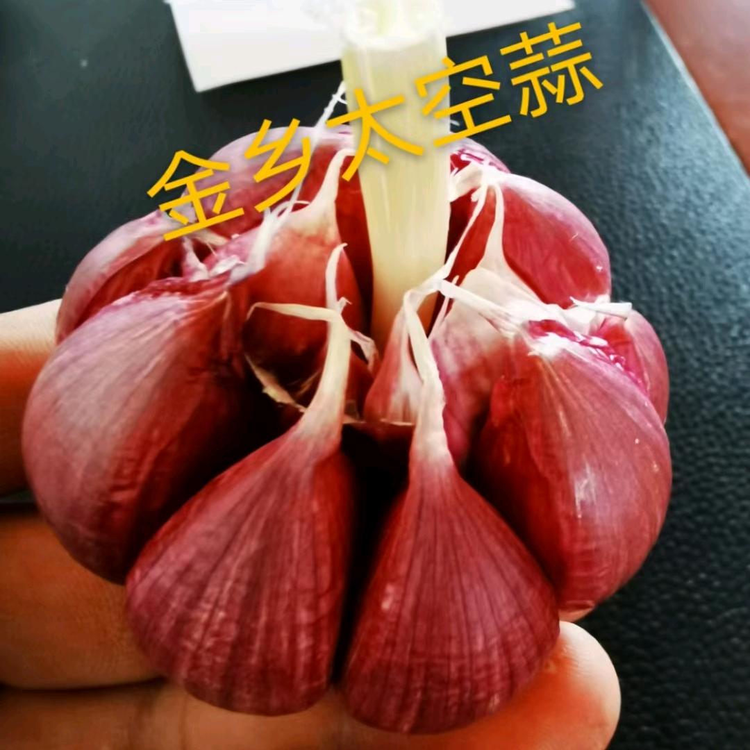 金乡大蒜，实话实说