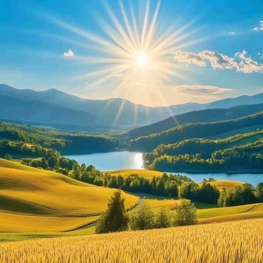 刘大小姐！！！