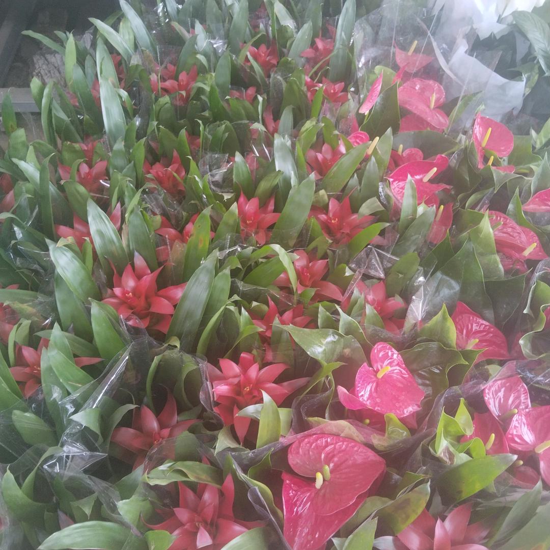 @蜗牛在奔跑