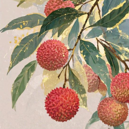 荔 枝🧨