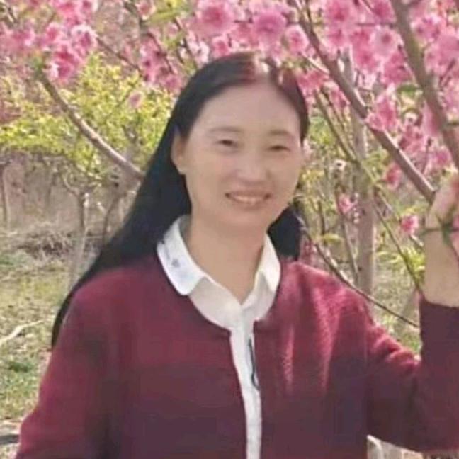 红娘-荷花老师