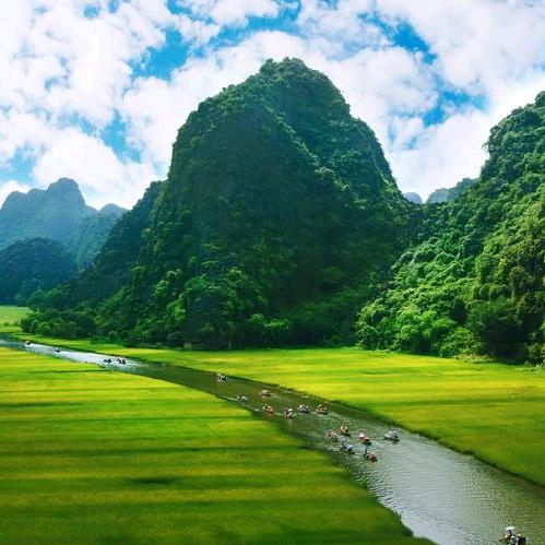 向阳花开