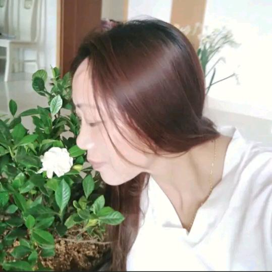 英