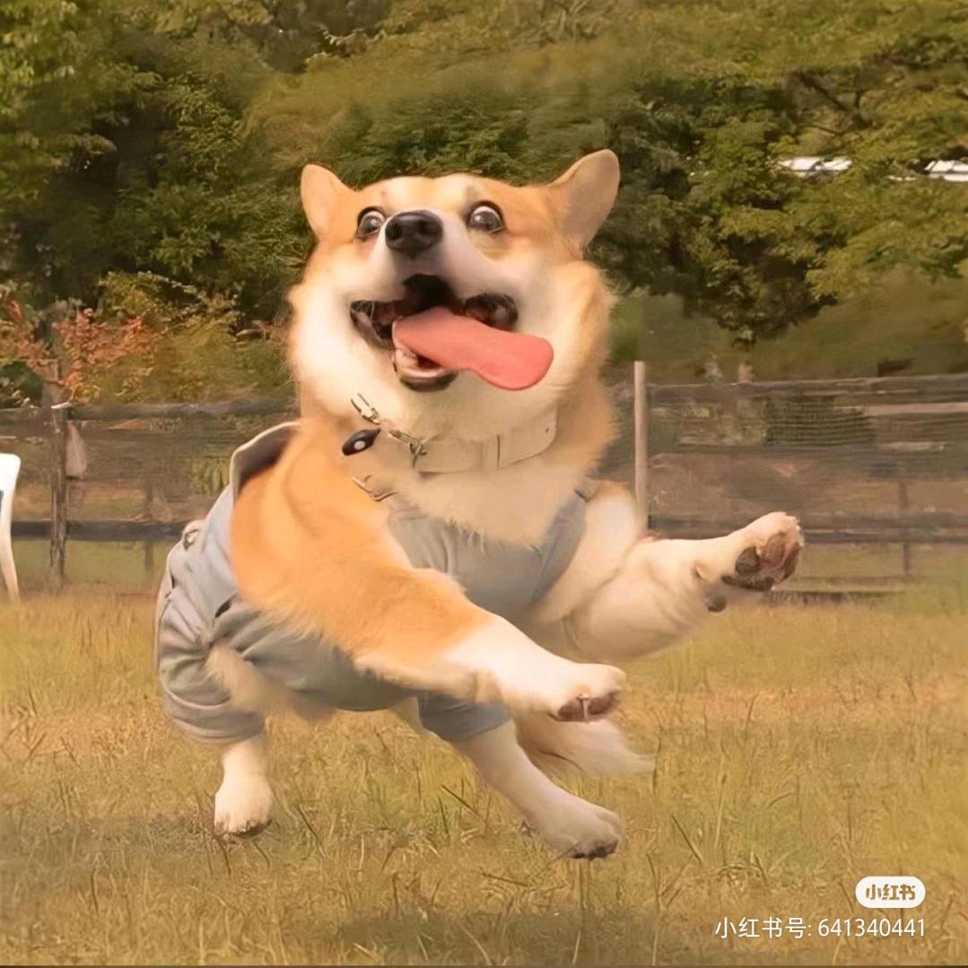 淮安*