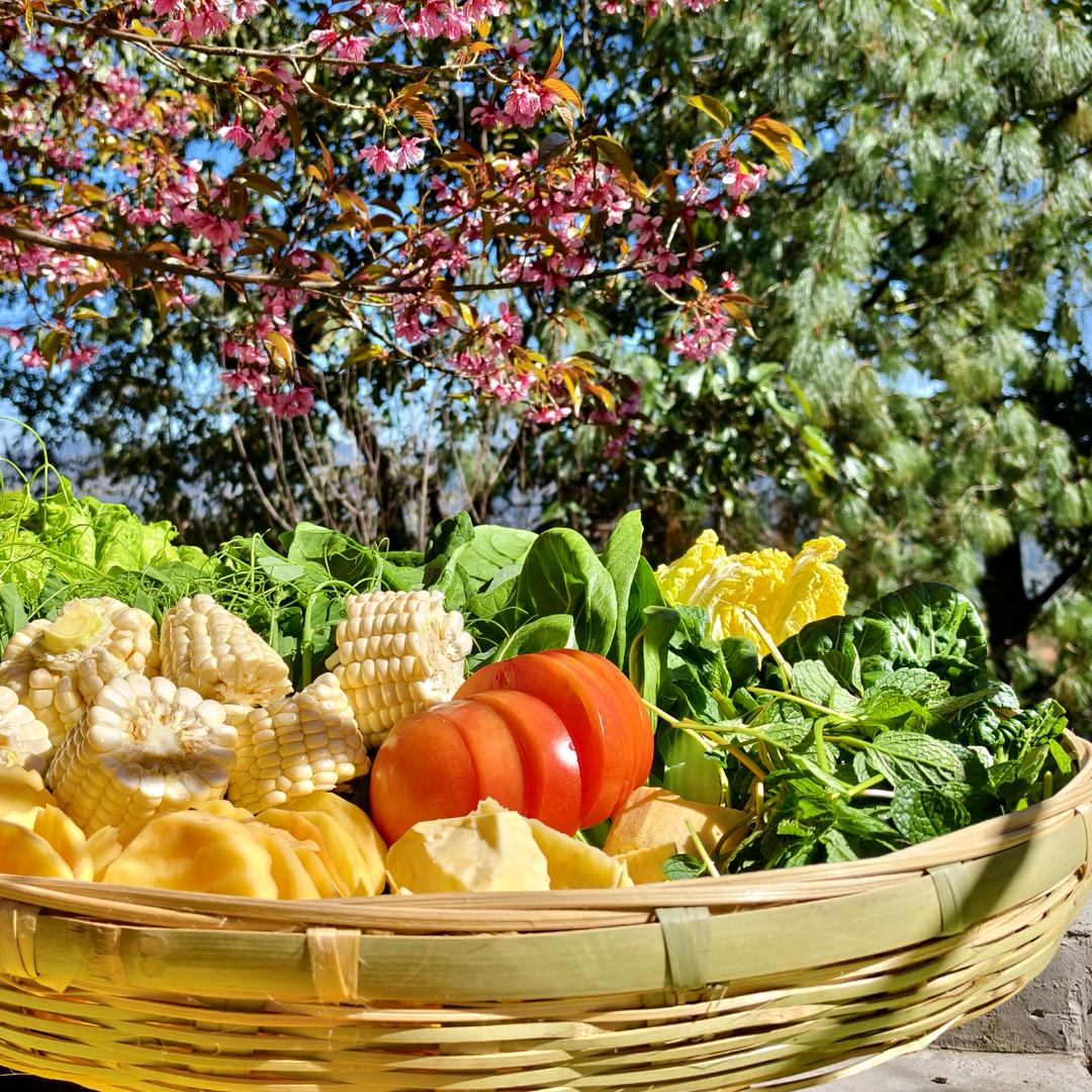 蔬蜜院 云品甄选