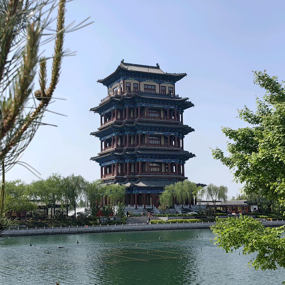行唐苗苗