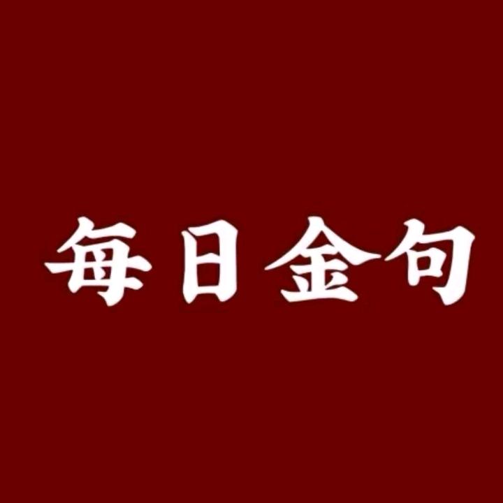 每日金句