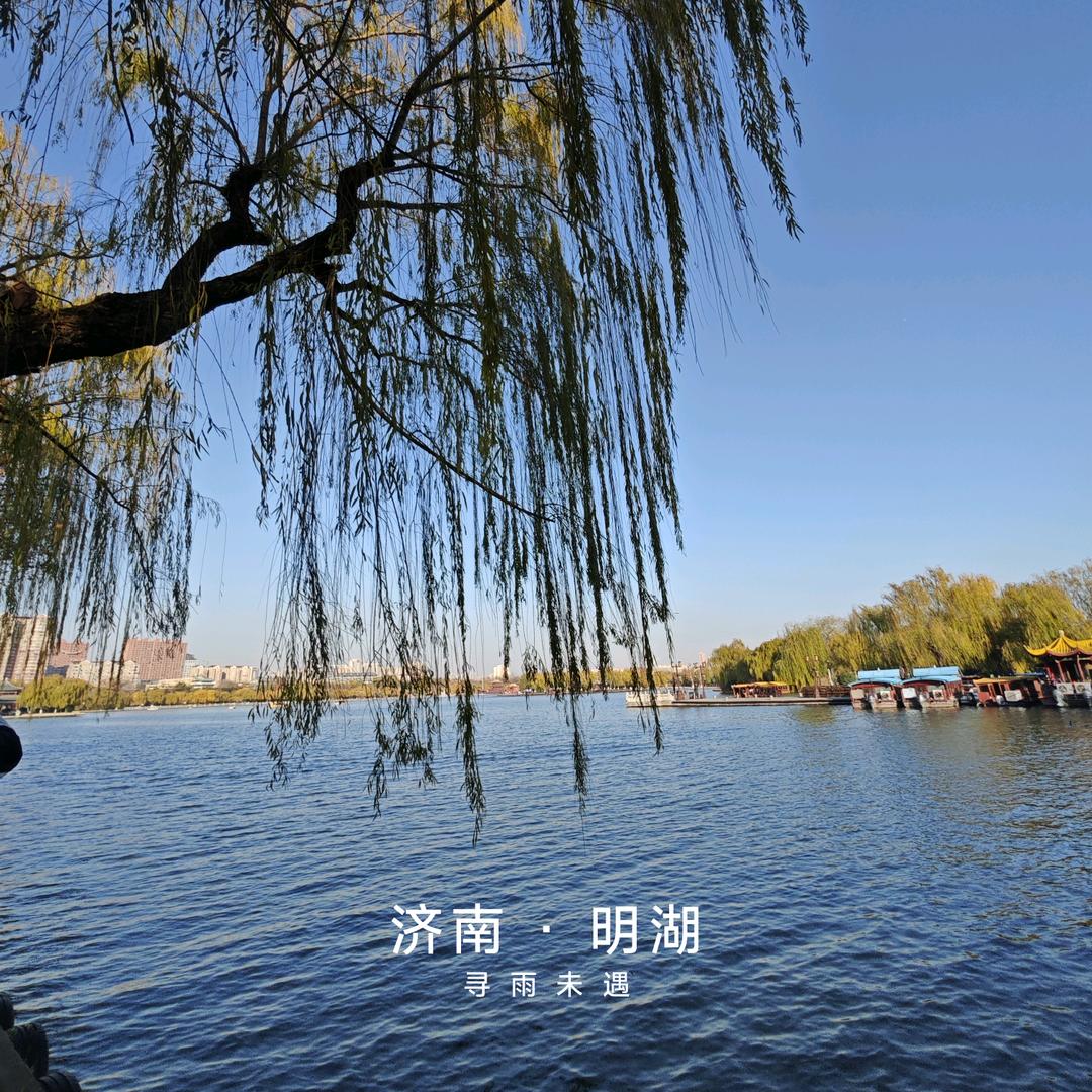 尘客生·秋阳