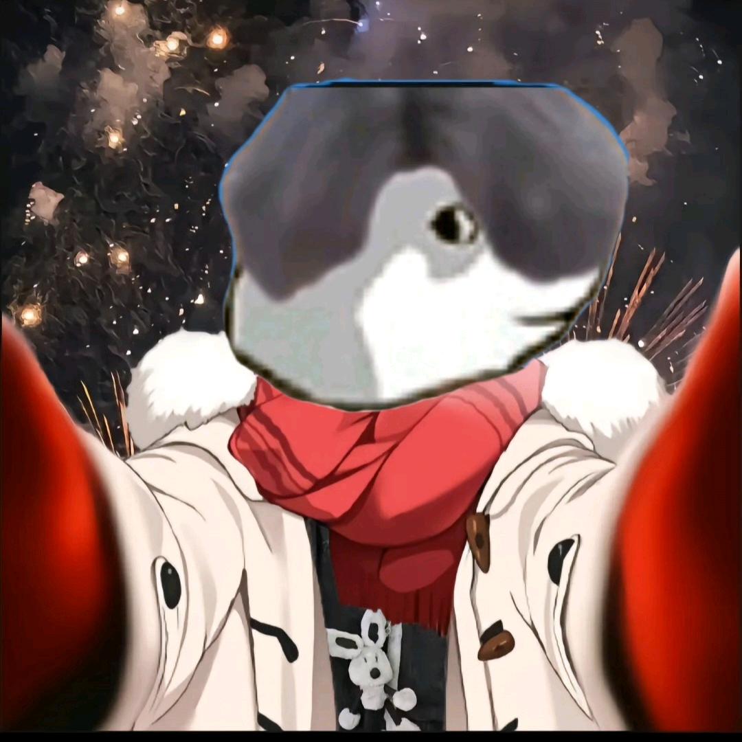 锴大大