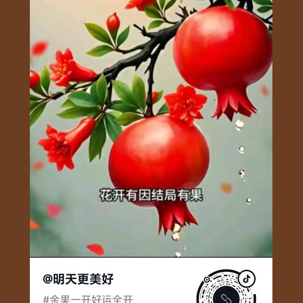 岁岁安澜