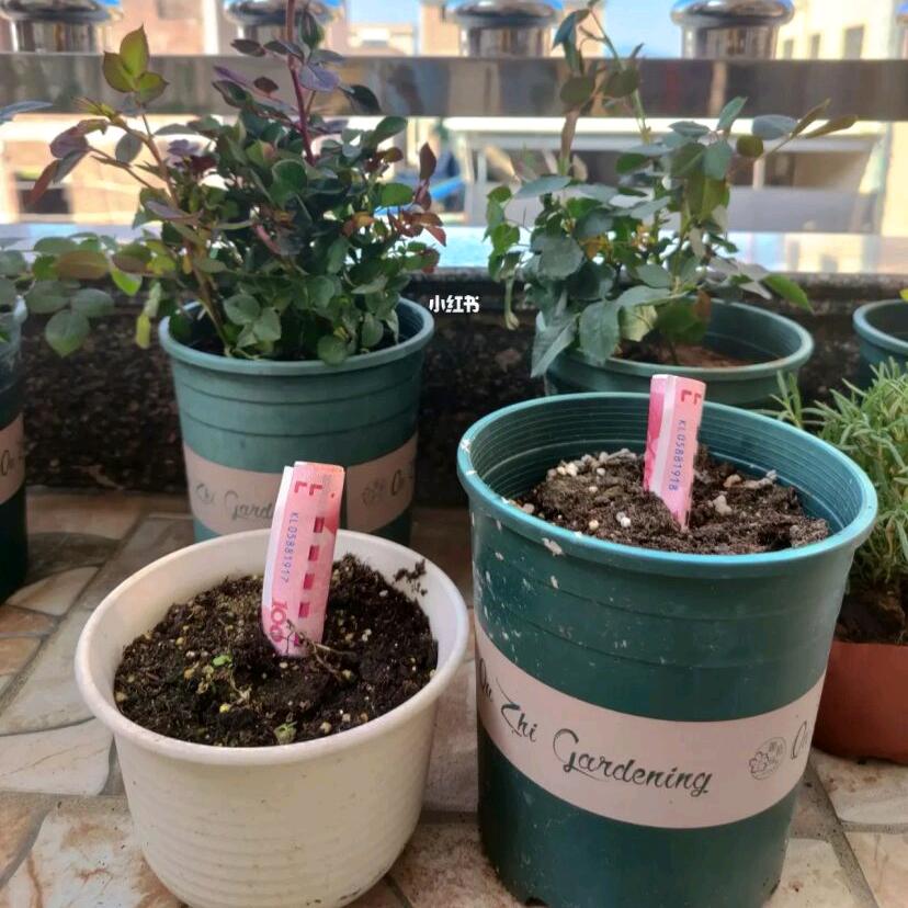 祈祷（港城印象）